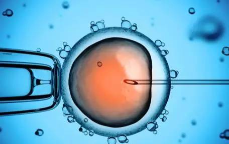 李雪梅